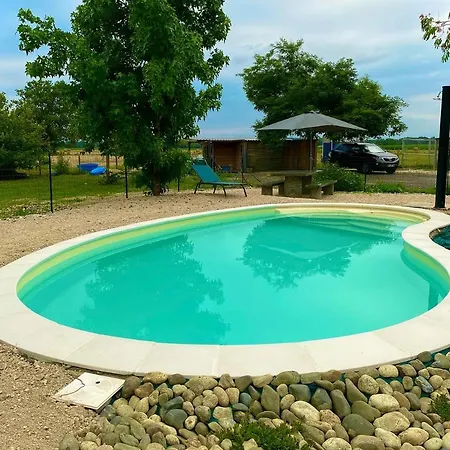 Au Bonheur Des Animaux *