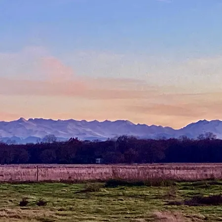 Au Bonheur Des Animaux *