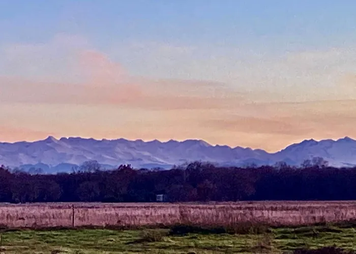 Au Bonheur Des Animaux *