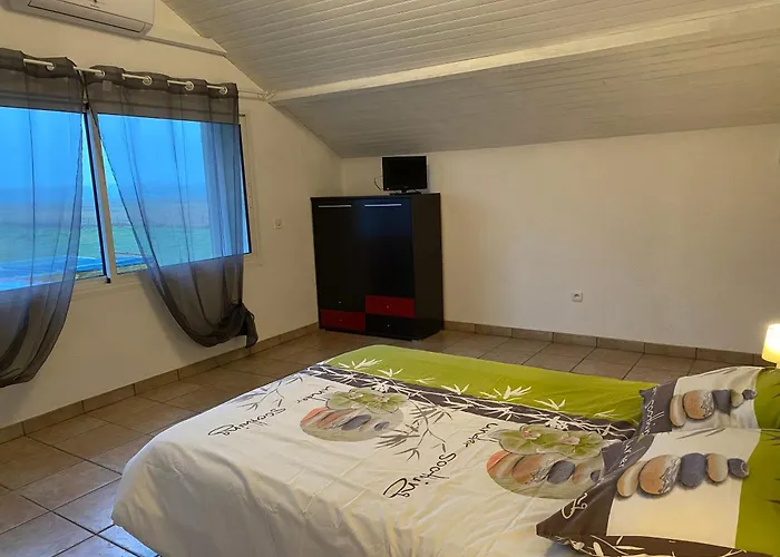 Au Bonheur Des Animaux